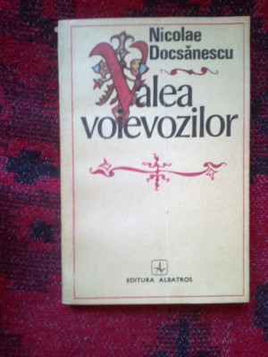 a8 Valea Voievozilor - Nicolae Docsanescu foto