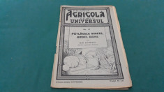 BIBLIOTECA AGRICOLA*PATLAGELELE VINETE, ARDEI, BAME*ILIE ISVORANU/1934 foto