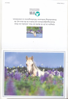 bnk cp Cal - felicitare necirculata foto