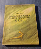 Floarea de piatra si alte povestiri din Ural P. Bajov
