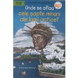 UNDE SE AFLAU CELE SAPTE MINUNI ALE LUMII ANTICE?-YONA ZELDIS MCDONOUGH-244066