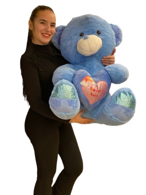 Urs de plus albastru cu inima Te Iubesc 70cm foto