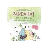 Pandahaț are o surioară - Hardcover - Alexandra Lopotaru - Didactica Publishing House