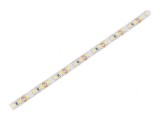 Bandă LED alb rece 12V 120 LED-uri/m IP20