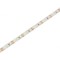 Bandă LED alb rece 12V 120 LED-uri/m IP20