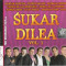 CD audio Sukar Dilea Vol. 2, sigilat