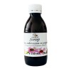 Sirop Echinacea Propolis Miere Albine Stronglife Dr. Ing. Cornelia Dostetan Imunitate Anemie Convalescenta Gripa