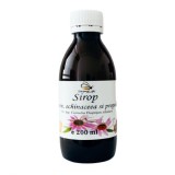 Sirop de echinacea si propolis cu miere de albine by Dr. Ing. Cornelia Dostetan