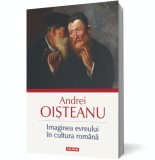 Imaginea evreului &icirc;n cultura rom&acirc;nă - Andrei Oisteanu - Editura Polirom