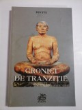CRONICI DE TRANZITIE - ION ITU