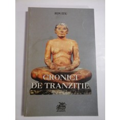 CRONICI DE TRANZITIE - ION ITU