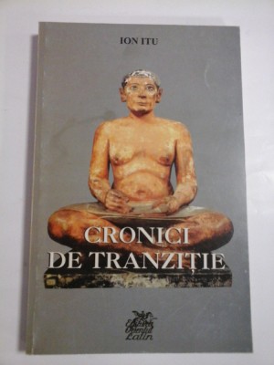 CRONICI DE TRANZITIE - ION ITU foto