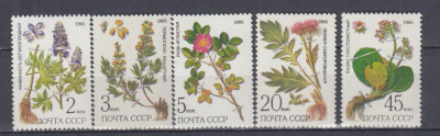 URSS RUSIA 1985 FLORA SERIE MNH foto