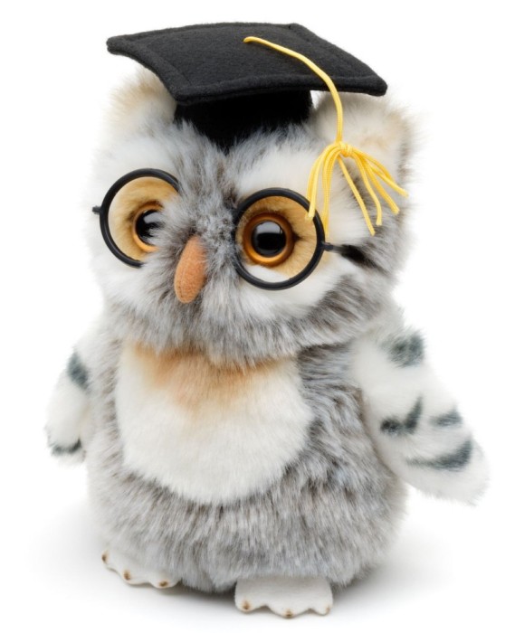 Jucarie Bufnita Absolvent de plus 19cm nat geo