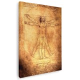 Tablou desen Omul Vitruvian de Leonardo da Vinci, maro 1425 Tablou canvas pe panza CU RAMA 60x90 cm