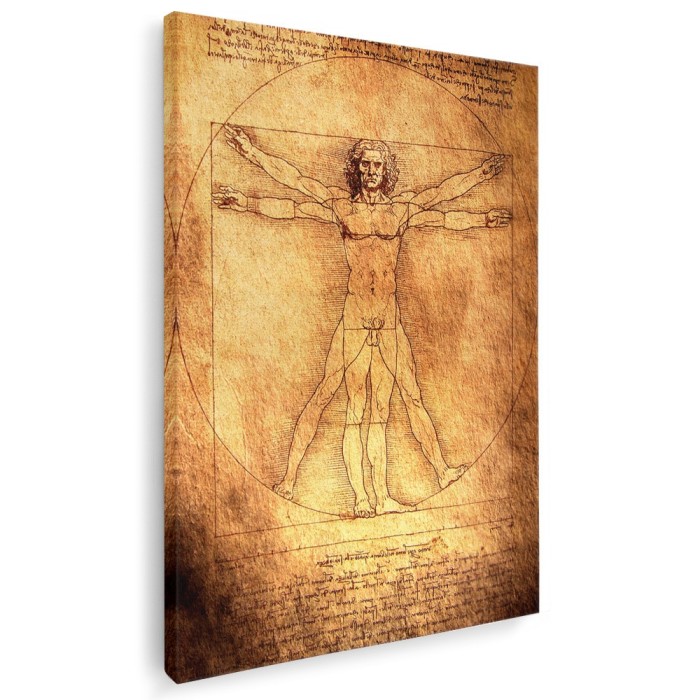 Tablou desen Omul Vitruvian de Leonardo da Vinci, maro 1425 Tablou canvas pe panza CU RAMA 80x120 cm