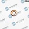 Inel Etansare, Injector 244118 DRM0493