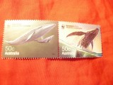 2 Timbre - Pereche Australia 2006 - Fauna - Balene , val. 2x50C, Nestampilat