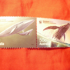 2 Timbre - Pereche Australia 2006 - Fauna - Balene , val. 2x50C