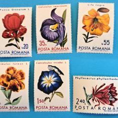 TIMBRE ROMANIA LP767/1971 -Flori din gradini botanice -Serie simplă - MNH