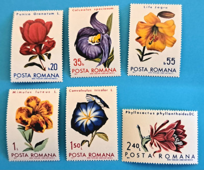 TIMBRE ROMANIA LP767/1971 -Flori din gradini botanice -Serie simplă - MNH foto