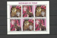 CHAD 1998 FAUNA ANIMALE SALBATICE ANTILOPE SI PISICI SALBATICE