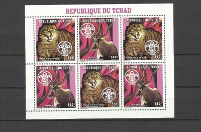 CHAD 1998 FAUNA ANIMALE SALBATICE ANTILOPE SI PISICI SALBATICE foto