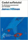 Cumpara ieftin Codul sufletului. &Icirc;n căutarea caracterului și a vocației - James Hillman, Trei