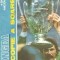 Mingea - O copie a Soarelui. In cautarea lui Pele, Maradona, Dobrin, Hagi...