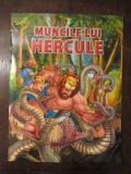 MUNCILE LUI HERCULE