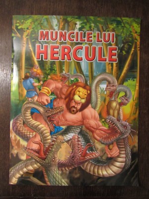 MUNCILE LUI HERCULE foto