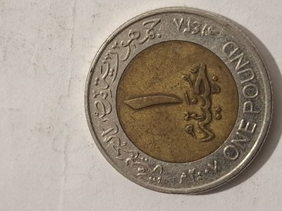 1 pound 2007 egipt foto