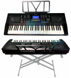 Orga electronica 8810, 61 clape Dinamice Touch, Afisaj claviatura, MIDI, 500ritm, Shengle