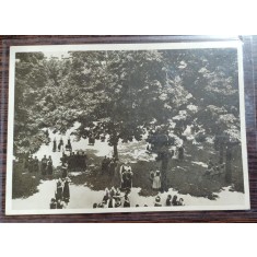 Carte postala - Scoala centrala de fete din Bucuresti: Gradina mare