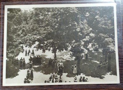 Carte postala - Scoala centrala de fete din Bucuresti: Gradina mare foto
