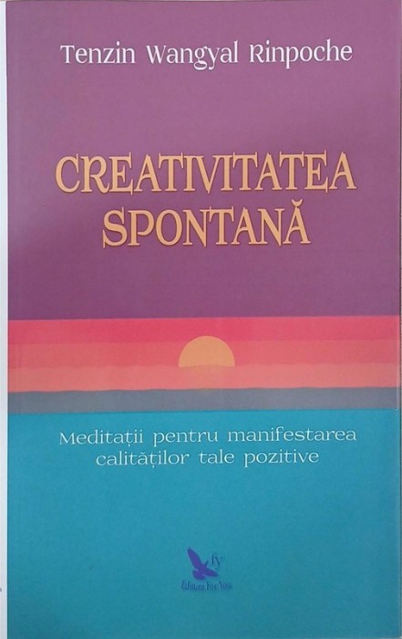 Probleme rezolvate de fizica, vol. I - Ion M. Popescu