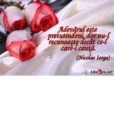 Card magnetic laminat (model 25) - Adevarul este pretutindeni, dar nu-l recunoaste decat ce-l care il cauta.(Nicolae Iorga)