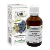 Cumpara ieftin Extract din mladite de Afin, 50 ml, Plant Extrakt