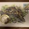 malaiezia - leopard - FDC cu medalie, fauna wwf
