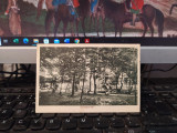 Geoagiu-băi, vedere cu parcul, 1930, 205, Circulata, Printata
