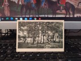 Geoagiu-băi, vedere cu parcul, 1930, 205