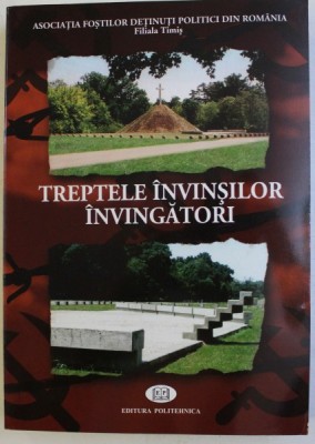 TREPTELE INVINSILOR INVINGATORI , 2008 foto