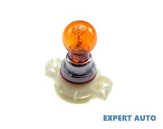 Becuri psy24w UNIVERSAL Universal #1 foto