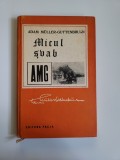 Cumpara ieftin Banat - Adam Mullet Guttenbrunn - Micul svab, Timisoara, 1978