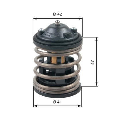GATES TH47487G1 termostat,lichid racire foto