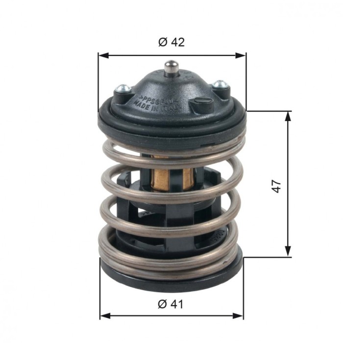 GATES TH47487G1 termostat,lichid racire