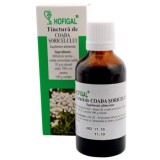 TINCTURA COADA SORICELULUI 50ML, Hofigal