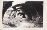 Ada-Kaleh (necirculata)