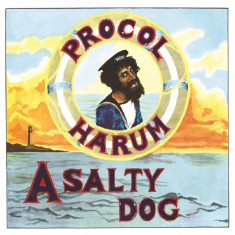 Procol Harum A Salty Dog 180g HQ LP (vinyl) foto