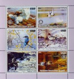 REPUBLiCA DEMOCRATA CONGO-PICTURI-PASARI-1 COALA MICA- DANTELATA- MNH**-RDC 045